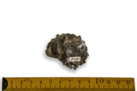 F 09521
<br/>
<br/>
<em></em>